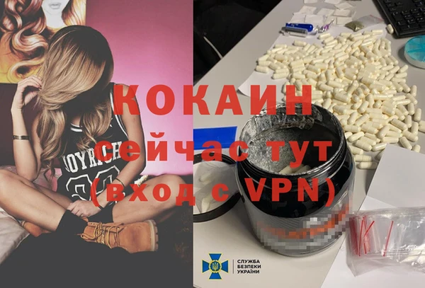 мдпв Абаза