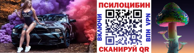 kraken зеркало  дарнет шоп  Новотроицк  Галлюциногенные грибы MAGIC MUSHROOMS 